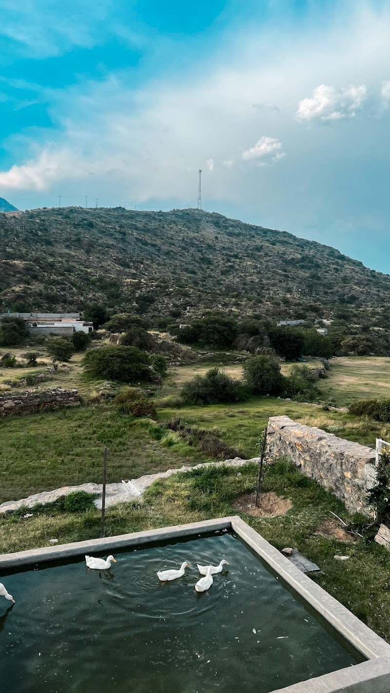 قرية آل حيي