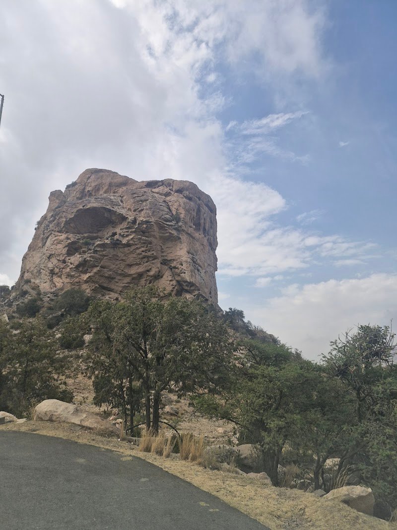 الشرف تنومة