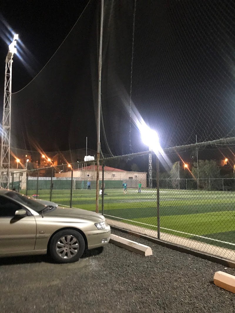 ملعب الجوهرة أكاديمية أشبال النمور