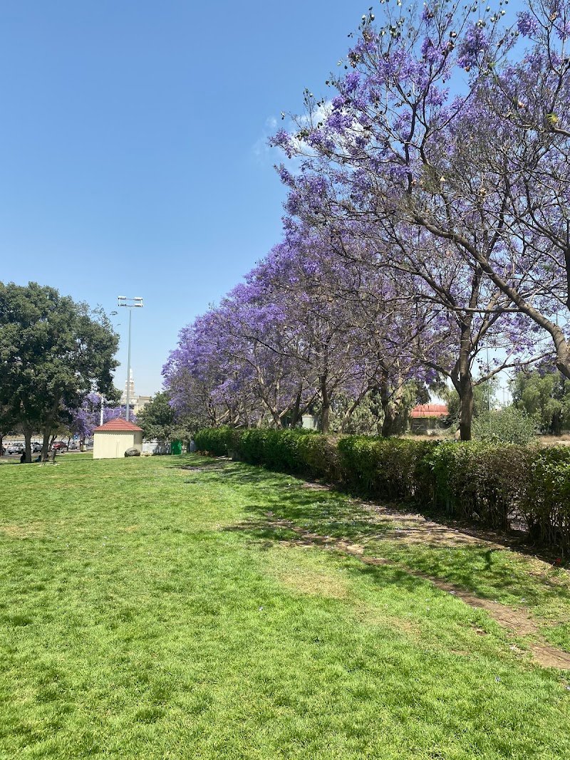 حديقه الزهور بالممشى