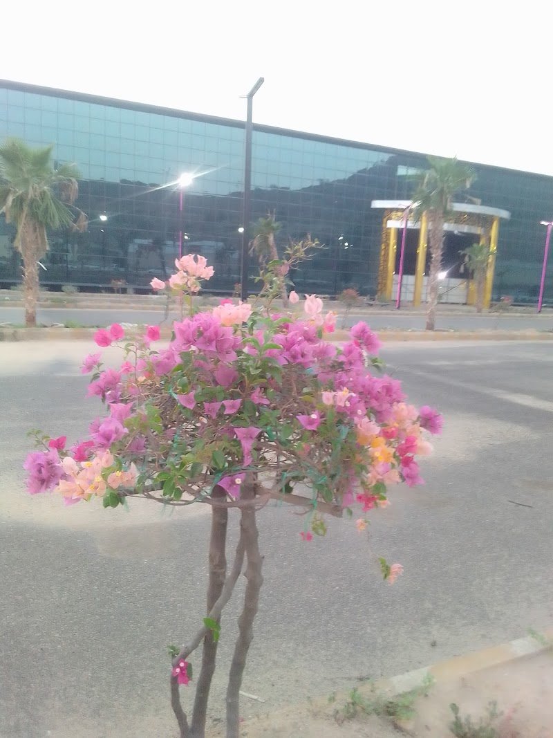 Rose mall Almajardah government