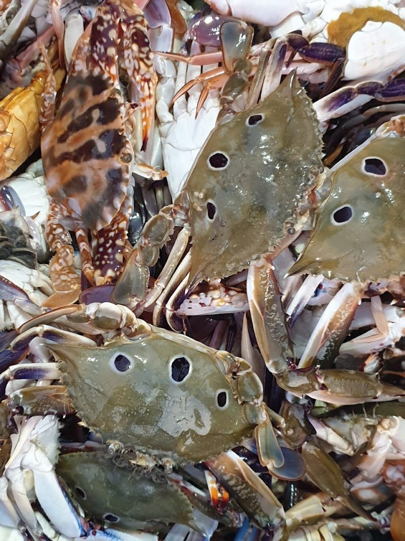 RED SEA FRESH FISH RESTAURANT BISHA مطعم البحر الاحمر