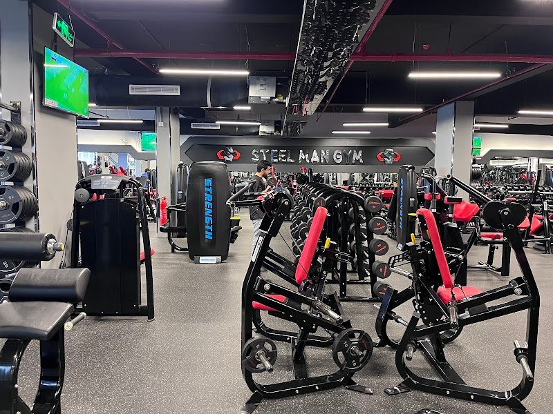 ستيل مان جيم