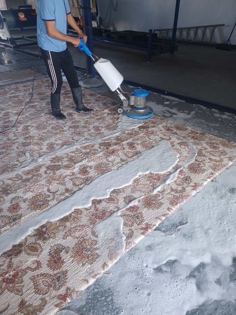 مغاسل الواحة للسجاد