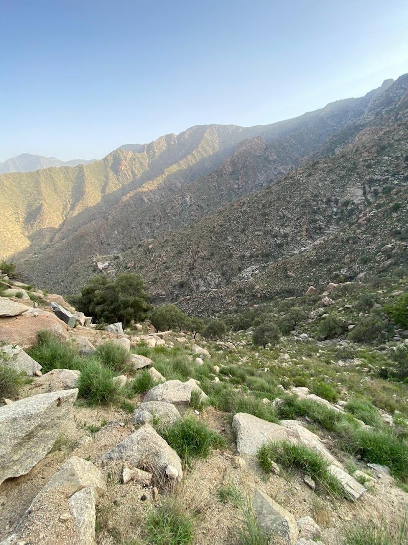 حديقة/متنزه