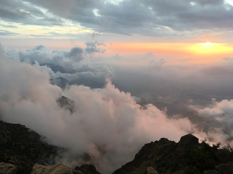 حديقة صغيرة مطلة