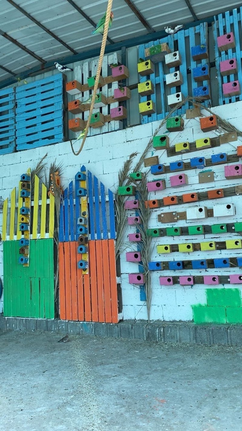 مزرعه بن مقطف للفراوله فراوله القرحاء