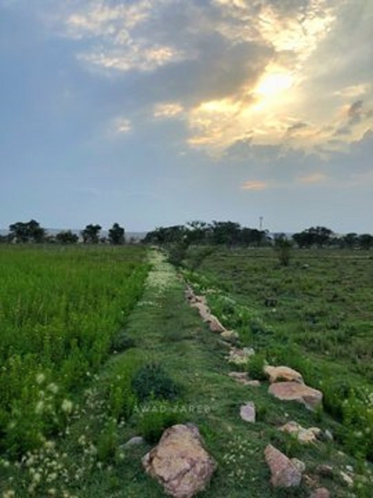 شعبة ال عمران