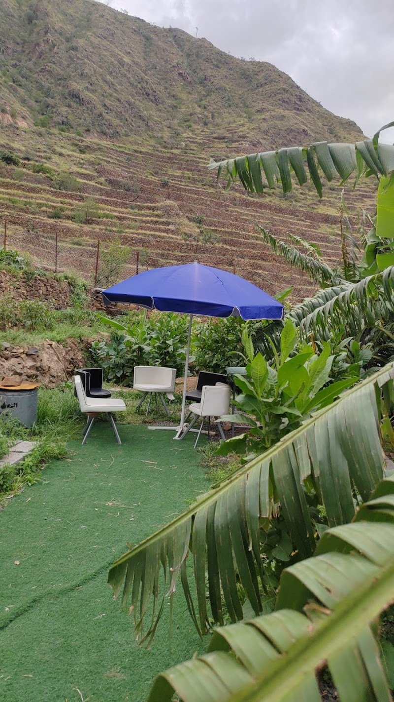 استراحة الكامدي