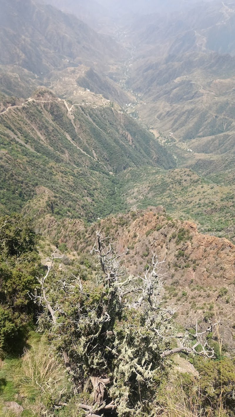 Al soudah side view point