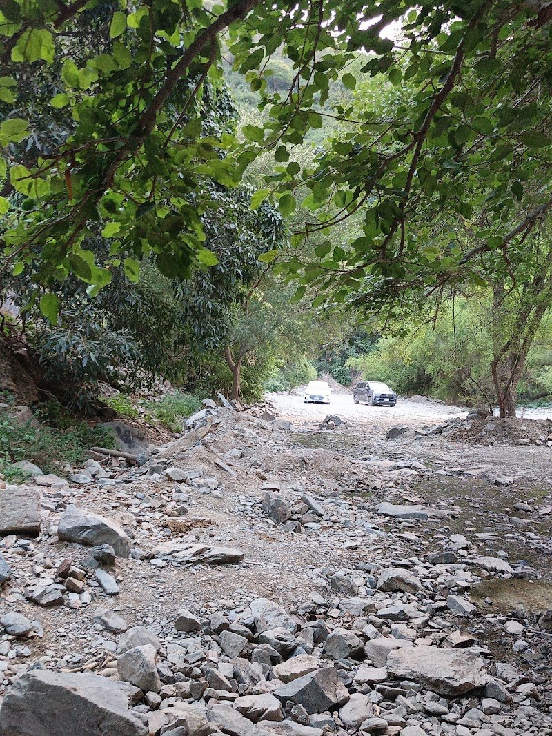 قمع وادي رحب