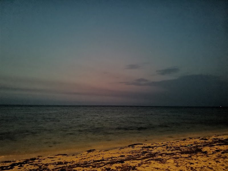 شاطئ مخصص للسباحة