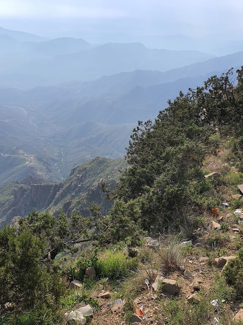 شفا ال عامر