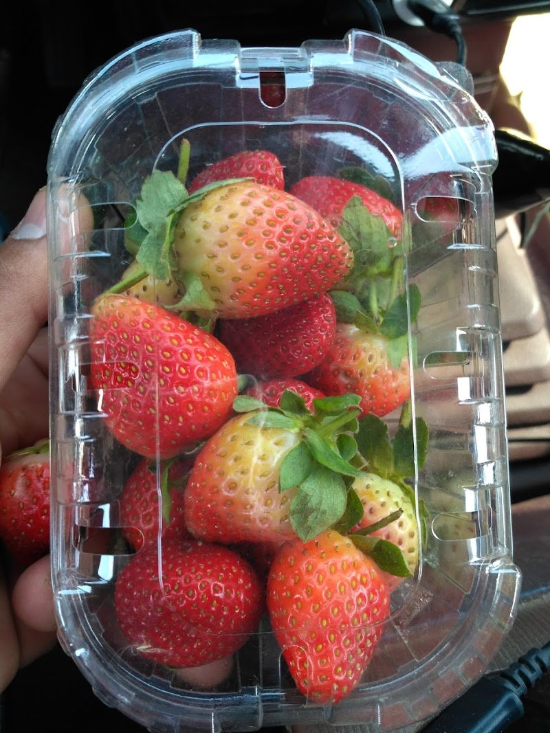 الحارثي للذهب والمجوهرات