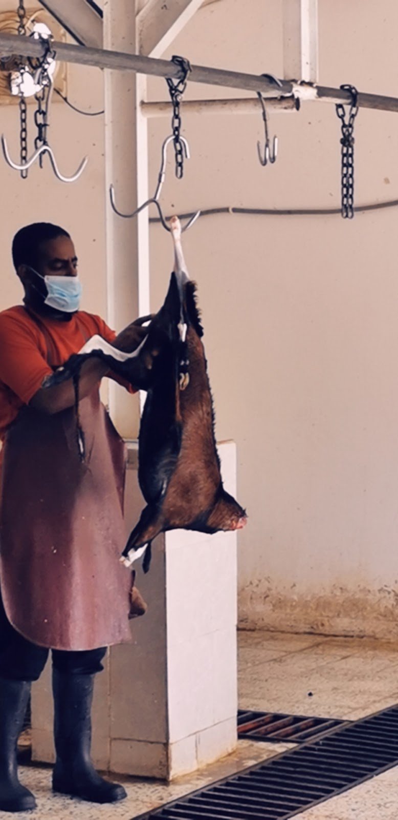 مسلخ البلدية بالفرشة - تهامة قحطان