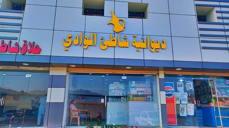 ديوانية شاطئ الوادي